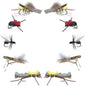 Basics Collection - Terrestrials Fly Assortment - 10 Flies - Sizes 10-14