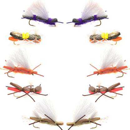 Basics Collection - Chernobyl Ant Hopper Fly Assortment - 10 Flies Size 10