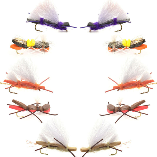 Basics Collection - Chernobyl Ant Hopper Fly Assortment - 10 Flies Size 10