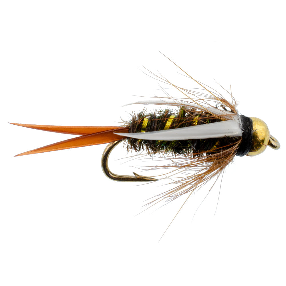 Basics Collection - Tungsten Bead Nymph Assortment - 10 Flies - Sizes 10-16