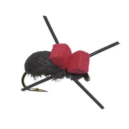 Trout Fly Assortment - Premium Terrestrial Flies - 12 Essential Hoppers, Ants and Beetles with Fly Box