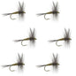 Blue Winged Olive BWO Trout Dry Fly Fishing Flies - 6 Flies Size 14