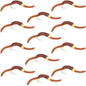Barbless Tungsten San Juan Bead Head Power Worm Brown 12 Flies Size 14