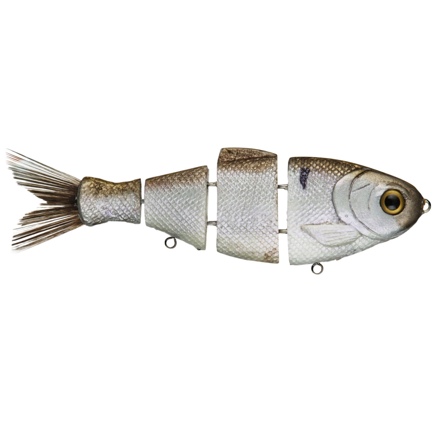 Bull Shad 2Knocker