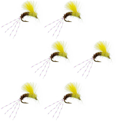 CDC Pale Morning Dun Emerger PMD Fishing Fly - 6 Flies Size 16