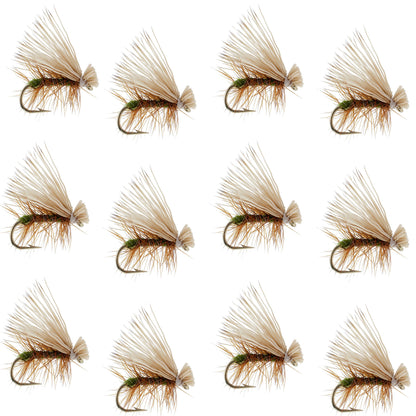 Olive Elk Hair Caddis Classic Trout Dry Fly - Set of 12 Flies Size 14
