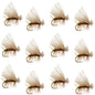 Olive Elk Hair Caddis Classic Trout Dry Fly - Set of 12 Flies Size 16
