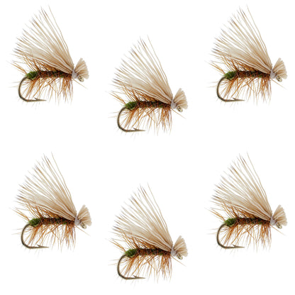 Olive Elk Hair Caddis Classic Trout Dry Fly - Set of 6 Flies Size 12