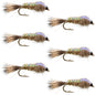 Classic Weighted Flashback Gold Ribbed Hares Ear Nymph - Set of 6 Flies - Size 18