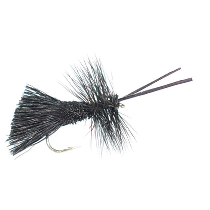 Basics Collection - Caddis Dry Fly Assortment - 10 Flies - Sizes 12-18