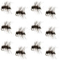 Griffiths Gnat Midge Trout Dry Fly Fishing Flies - 1 Dozen Flies Size 20