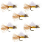 Amber Iris Caddis Emerger Caddis  Trout Dry Fly - 6 Flies Hook Size 14