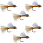 Orange Iris October Caddis Emerger Caddis  Trout Dry Fly - 6 Flies Hook Size 8