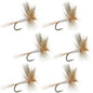 Light Cahill Classic Trout Dry Fly Fishing Fly - 6 Flies Size 14