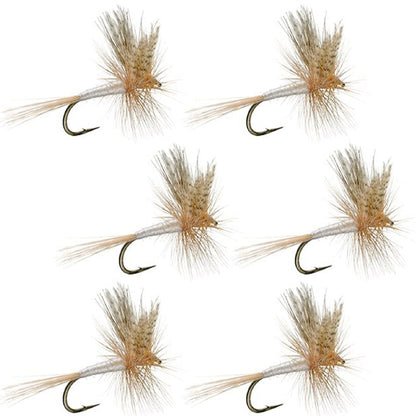 Light Cahill Classic Trout Dry Fly Fishing Fly - 6 Flies Size 16