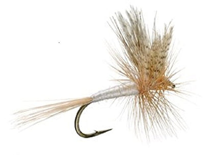 Light Cahill Classic Trout Dry Fly Fishing Fly - 1 Dozen Flies Size 12