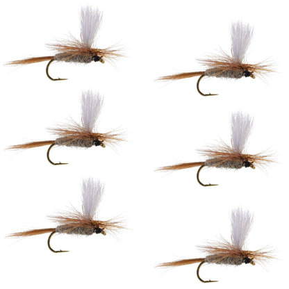 Hares Ear Parachute Classic Dry Fly - 6 Flies Hook Size 16