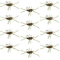 Barbless Pat's Rubber Legs Tungsten Bead Jigged Coffee/Black Euro Nymph  - Set of 12 Flies Hook Size 10
