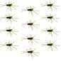 Pat's Rubber Legs Tungsten Jig Dark Olive Euro Nymph 12 Flies Size 10