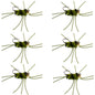 Barbless Pat's Rubber Legs Tungsten Bead Jigged  Olive/Black Euro Nymph  - Set of 6 Flies Hook Size 10