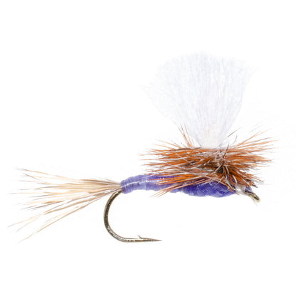 Parachute Purple Haze Dry Fly - 12 Flies Size 18