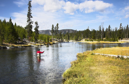 Olive Black Bead Head Crystal Woolly Bugger Streamer - 6 Flies - Size 8