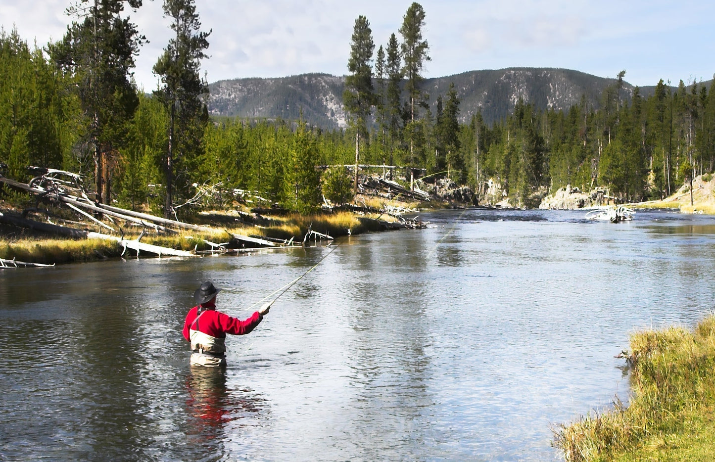 Dolly Llama Stinger Streamer Flies - 3 Olive and White  Size 4