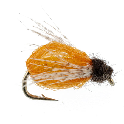LaFontaine Amber Deep Sparkle Caddis Pupa - 6 Flies Hook Size 18