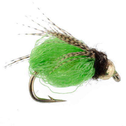 Bead Head LaFontaine Green Deep Sparkle Caddis Pupa - 12 Flies Size 14