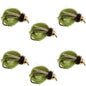 Bead Head LaFontaine Olive Deep Sparkle Caddis Pupa - 6 Flies Hook Size 12
