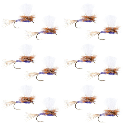 Parachute Purple Haze Dry Fly - 12 Flies Size 18