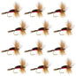 Royal Humpy Classic Hair Wing Dry Fly - 1 Dozen Flies Hook Size 8