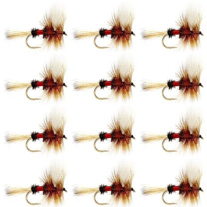 Royal Wulff Classic Trout Dry Fly Fishing Flies - 12 Flies Size 16