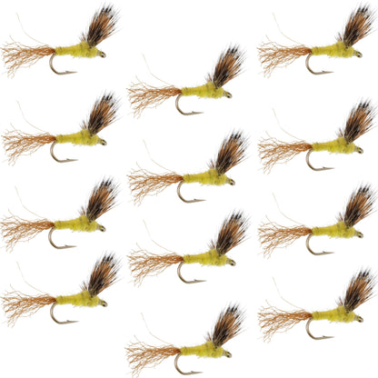 Sparkle Dun Pale Morning Dun PMD Yellow Body Mayfly 12 Flies Hook size 14