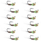 Tungsten Hot Spot Pheasant Tail Tactical Jig Euro Fly - 12 Flies Size 14