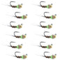 Tungsten Hot Spot Pheasant Tail Tactical Jig Euro Fly - 12 Flies Size 16