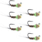Tungsten Hot Spot Pheasant Tail Tactical Nymph Euro Jig - 6 Flies Size 16