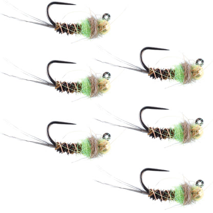 Tungsten Soft Hackle Pheasant Tail Tactical Euro Jig - 12 Flies Size 14