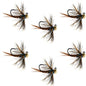 Tungsten Soft Hackle Pheasant Tail Tactical Nymph Euro Jig - 6 Flies Size 14