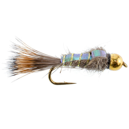 Basics Collection - Flash Back Tungsten Bead Head Nymphs 10 Flies  #10-16