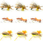 Grasshopper Trout Flies Assortment Foam Hoppers - 9 Flies Size 10