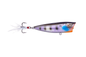 Ark Topwater Popper
