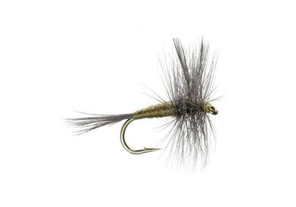 Basics Collection - Classic Dry Fly Assortment - 10 Flies - Sizes 12-16