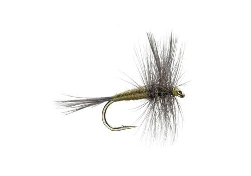 Blue Winged Olive BWO Trout Dry Fly Fishing Flies - 6 Flies Size 14