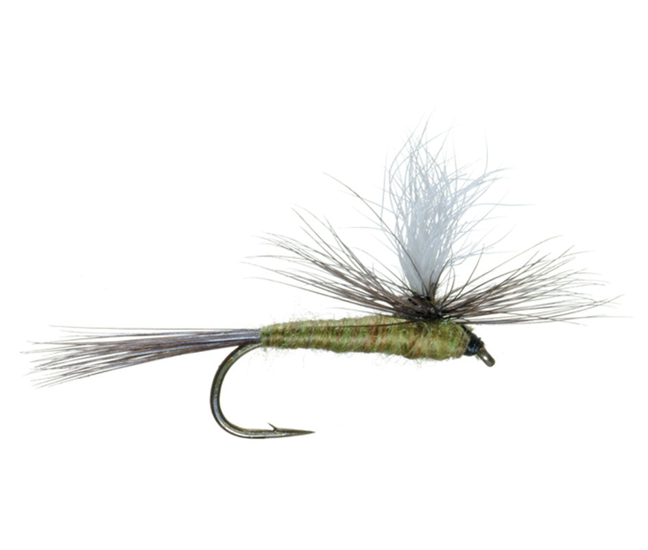 Essential 28 Trout Fly Assortment  – For Beginner or Advanced Fly Fishers