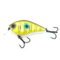 Hunter 1.5 Squarebill