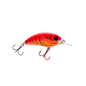 Seeker 6