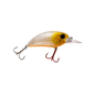 Seeker 6