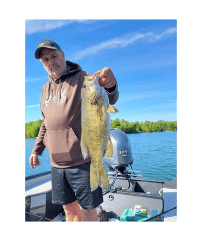 Techno Frog - Soft Plastic Frog Bait for Bass Fishing