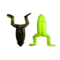 Best Toad Ever